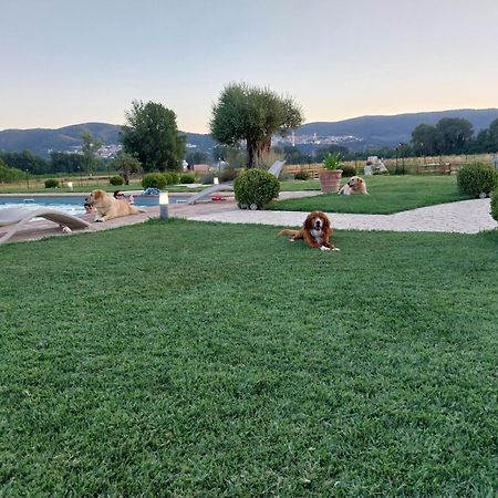 Agriturismo Tenuta Filippi Narni Exteriör bild