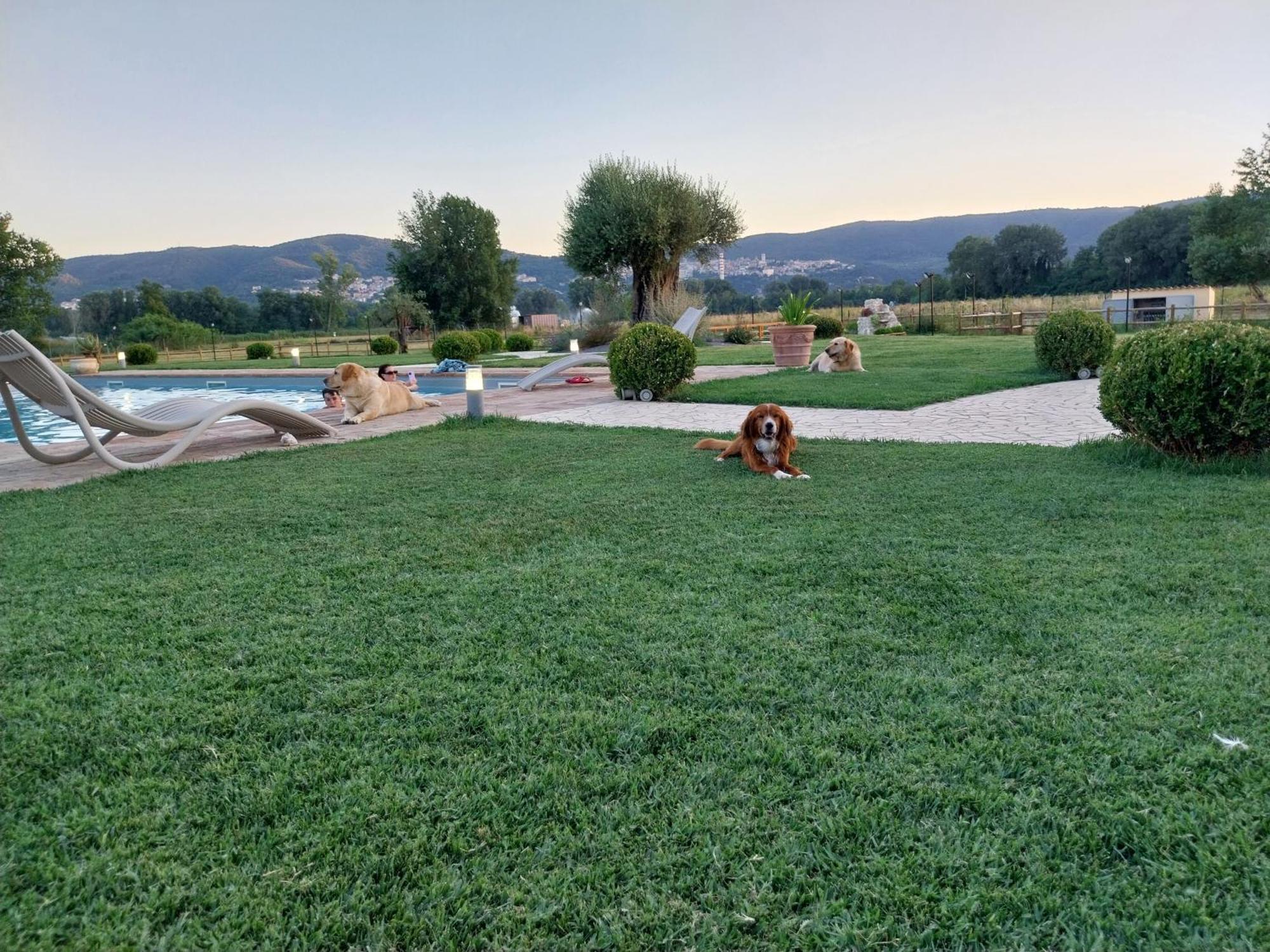 Agriturismo Tenuta Filippi Narni Exteriör bild
